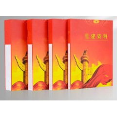 党建资料档案盒 5.5cm 10个装